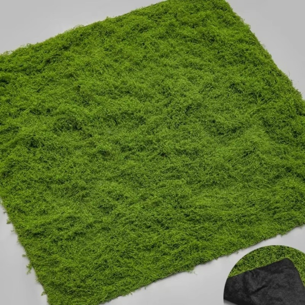 Dywan z sztucznej trawy DIY, t – Terrarium Moss Art recenzja i cena
