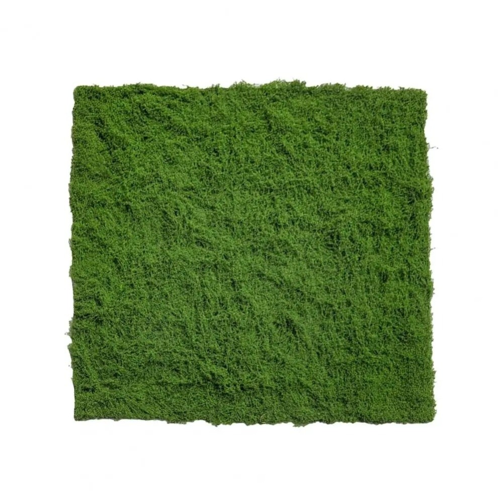 Dywan z sztucznej trawy DIY, t – Terrarium Moss Art recenzja i cena