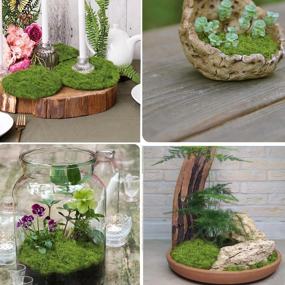 Dywan z sztucznej trawy DIY, t – Terrarium Moss Art recenzja i cena